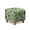 Shamrock Elephant Print Green, variant on SCRAWLGOD St. Patrick's Day Four Leaf Clover Stars Print Green Black Stretch Ottoman Cover Square, Removable Footstool Slipcover for Living Room Washable Storage Stool Furniture Protector