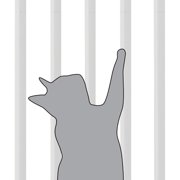 Richell White Steel Cat Extra Tall Safety Gate, 37.5 L X 3 W X 71.5 H