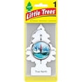 thumbnail image 4 of Little Trees True North Scent Air Freshener3, 4 of 5