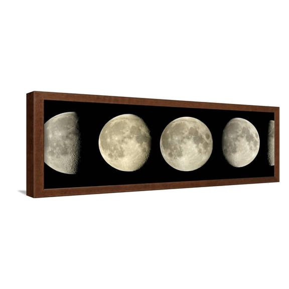 Phases of the Moon, Framed Art Print Wall Art by Pekka Parviainen Sold by Art.Com