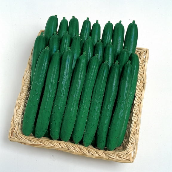 Cucumber Seeds - Soarer - Hybrid - 500 Mg Packet ~20 Seeds - Non-GMO, F1 Hybrid - Asian Garden Vegetable