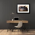 thumbnail image 4 of Ferdinand von Wright 24x17 Black Modern Framed Museum Art Print Titled - Study of Sleeping Forest Pigeon (1873), 4 of 5