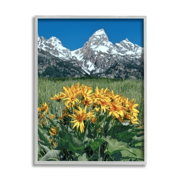 Stupell Industries Daisies & Mountain Peaks Landscape Photography Gray Framed Art Print Wall Art, 24 x 30