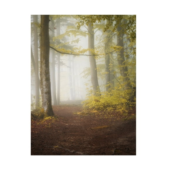 Trademark Fine Art Norbert Maier Lets Go For A Walk Canvas Wall Art