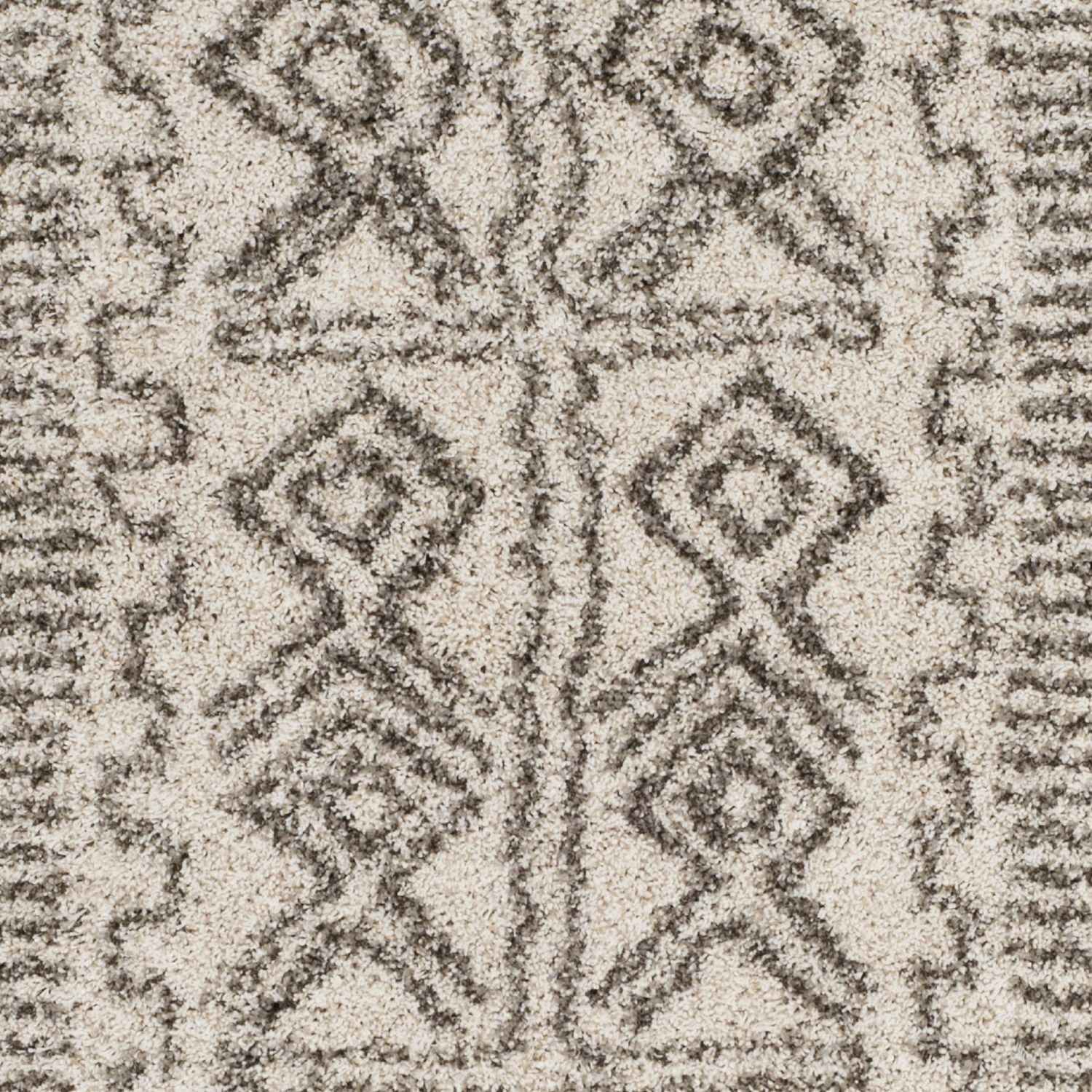 SAFAVIEH Hudson Raphael Contemporary Shag Area Rug