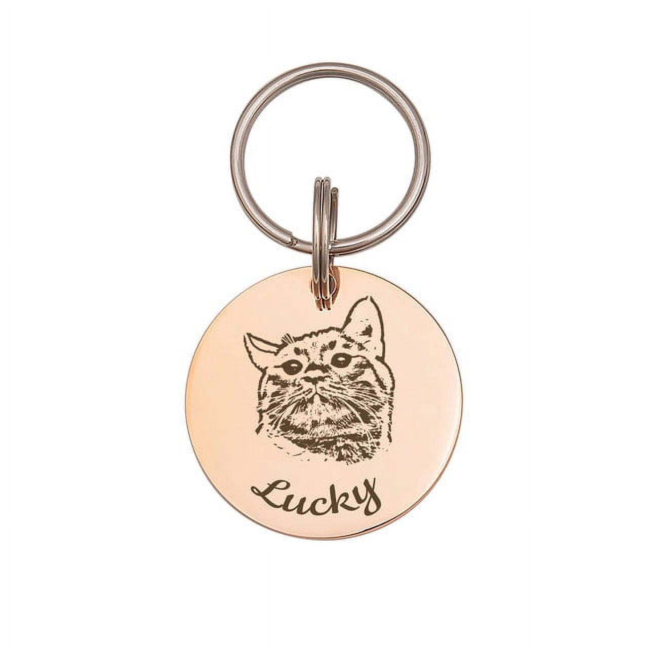 Anavia Stainless Steel Double Sided Round Name and Pet Portrait Engraved Dog & Cat ID Tag, Multi-color, L