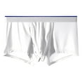 thumbnail image 2 of HXWCHs Men's No-Show Microfiber Underwear Silk Mens Briefs Separate Pouch Design Breathable Comfort Underwear Soft Stretch Wicking Fabric White M, 2 of 3