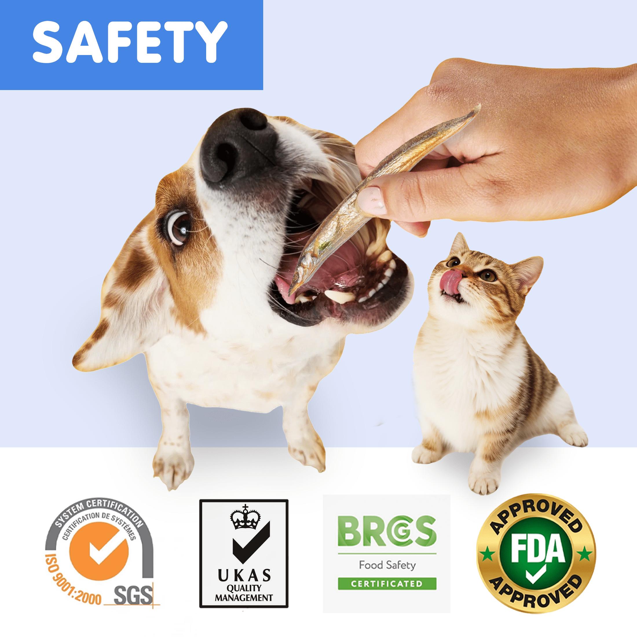 (2 pack) PAWUP Freeze Dried Minnows Dog & Cat Treats, Single Ingredient Dog Treats for Small & Large Dogs, High Protein, Grain Free, Rich in Omega 3 Dog Training Treats, 3.6oz