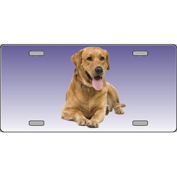 Yellow Labrador Retriever Dog Pet Novelty License Plates Full Color