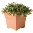thumbnail image 2 of Novelty 18 in. 5gal Square tub & Patio Planter terra Cotta, 2 of 2