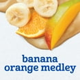thumbnail image 4 of (4 pack) Gerber 2nd Foods Baby Food, Banana Orange Medley, 4 oz Tubs (2 Pack), 4 of 17
