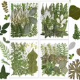 thumbnail image 1 of Set de 100 unidades de flores secas prensadas y resinadas, hojas verdes, 1 of 8