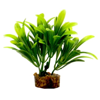 Aqua Culture Aquarium Plant Value Pack, 4" Small Plants, 3 Count Silicone  Material - Walmart.com