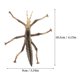 thumbnail image 3 of 2Pcs Simulation Stick Insects Model Educational Insects Statue Insect Recognition Models, 3 of 3