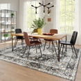 thumbnail image 5 of Astorug 5x8 Washable Non-Slip Boho Vintage Rug for Living Room/Entryway/Dining, Dark Gray, 5 of 9