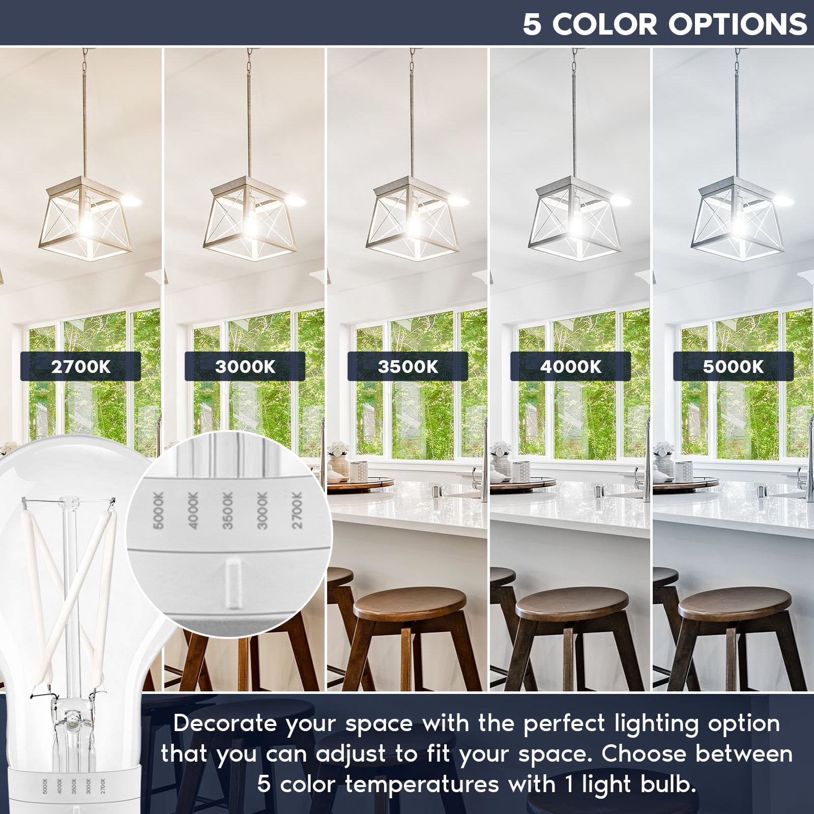 Luxrite Vintage A19 LED Light Bulb 7W=60W 5CCT Dimmable 800 Lumens Standard LED Edison Bulb UL Listed E26 Base 12-Pack