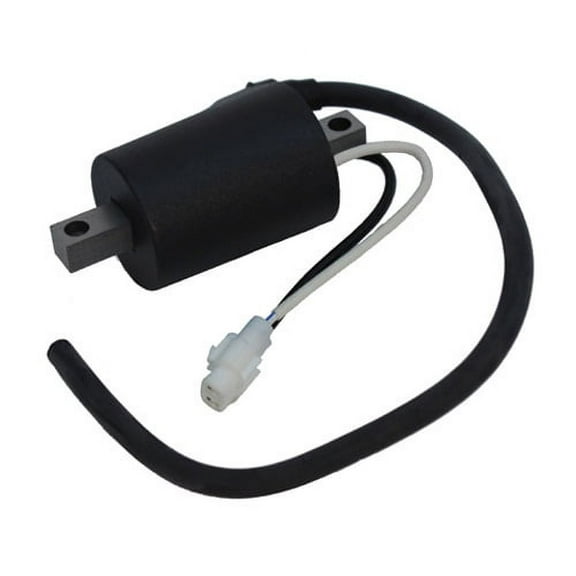 Ignition Coil Polaris