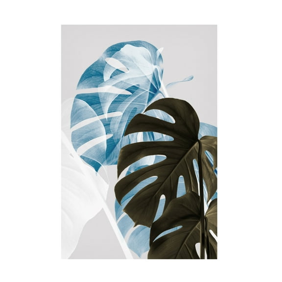 Canvas Wall Art - Pictufy Studio Iii 'Monstera Creative 02' Wall Art for Living Room, Bedroom, or Office D?cor by Trademark Fine Art - 12 x 19 Inches