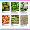 thumbnail image 4 of Livingood Daily Vitamin B Complex 30 Capsules - 11 in 1 B Complex Vitamins, Methylated B12 Supplement, Folate, B1 B2 B3 B5 B6 & Biotin for Hair, Skin and Nails, 4 of 7