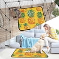 thumbnail image 7 of RMDQTR 3Pack Set of Small Pet Potty Pads Reusable Ultra-Absorbent Pet Training Pads Leak-Proof Pet Pads Abstract Painting Of Pineapple, 7 of 7