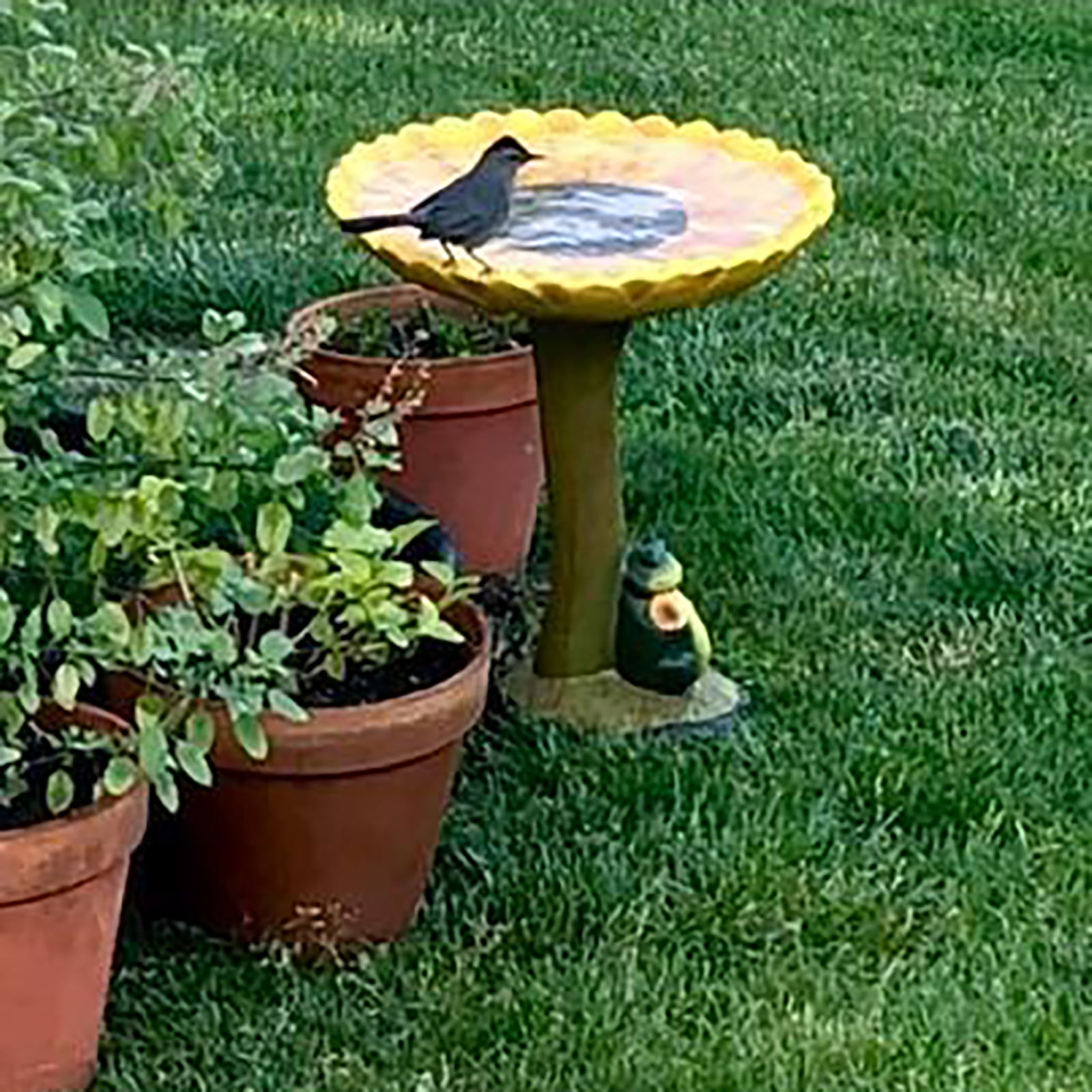 Uanit Resin Frog Water Basin Poly Resin Antique Garden Bird Bath Ornaments Resin Water Basin Resin Antique Garden Bird Bath Suitable for Home Gardens and Courtyards