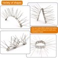 thumbnail image 2 of Pinchos para pájaros para palomas, pájaros pequeños, pinchos antipájaros, pinchos disuasorios de pájaros de Metal, cubierta de pinchos de valla de acero inoxidable XianweiShao 9024715147363, 2 of 3