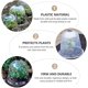 thumbnail image 3 of 2 piezas de jardín Cloche Dome Bell Plant Covers Reutilizable Plástico Mini Invernadero Frost Guard Protección contra heladas para el calentamiento de plántulas de frutas y verduras TUNC Sencillez, 3 of 5