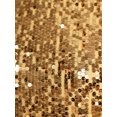 thumbnail image 5 of Raenseen Womens Worship Praise Dance Dress Glittery Sequined Bodice Gradient Mesh Irregular Hem Dresses Gold XL, 5 of 7