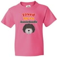 thumbnail image 3 of Inktastic Aussiedoodle Dog Gift Youth T-Shirt, 3 of 5