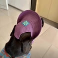 thumbnail image 4 of Dog Cat Bucket Hat, Breathable Cooling Sun Protection Fisherman Cap, Adjustable Summer Outdoor UV Shield for All Breeds Walking Hiking Beach Purple S, 4 of 8