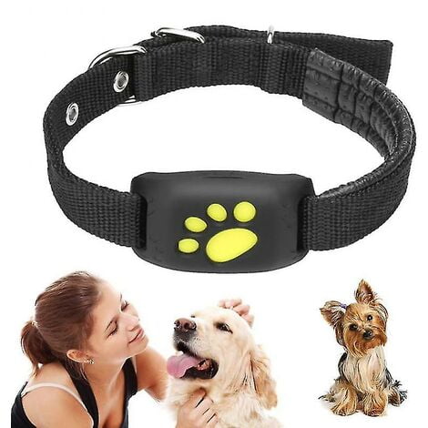 Free pet tracker hot sale