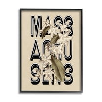 Stupell Industries Massachusetts State Mayflower Blossoms Intertwining Typography Graphic Art Black Framed Art Print Wall Art, Design by Daphne Polselli