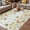 Green Grey, variant on Green Floral Outdoor Rug for Patio/Deck/Porch, Non-Slip Large Area Rug 4 x 6 Ft, Spring Flowers Botanical Gray and White Plaid Indoor Outdoor Rugs Washable Area Rugs, Camping Rug Carpet Runner