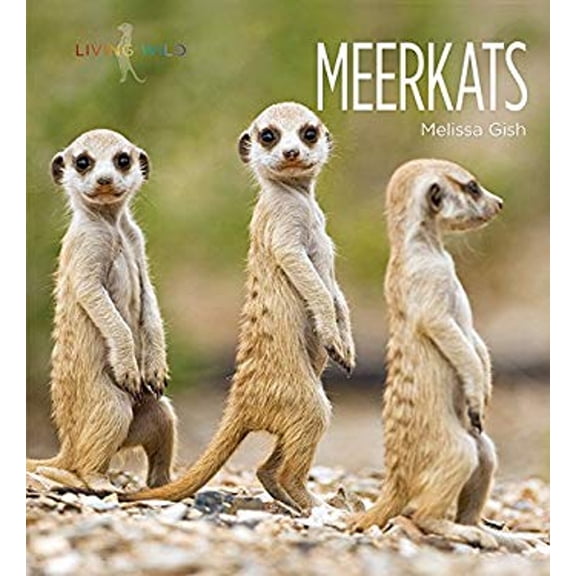 Pre-Owned Meerkats (Paperback) 9781628321708