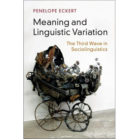 Meaning and Linguistic Variation: The Third Wave in Sociolinguistics, (Hardcover)