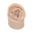 thumbnail image 4 of Modelo de práctica de perforación suave, modelo de práctica de perforación de silicona Modelo de oreja de perforación de silicona Modelo de perforación de oreja suave Respuesta rápida, 4 of 5