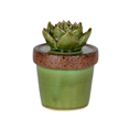 thumbnail image 1 of Décoration pour Plantes en Céramique, 1 of 1