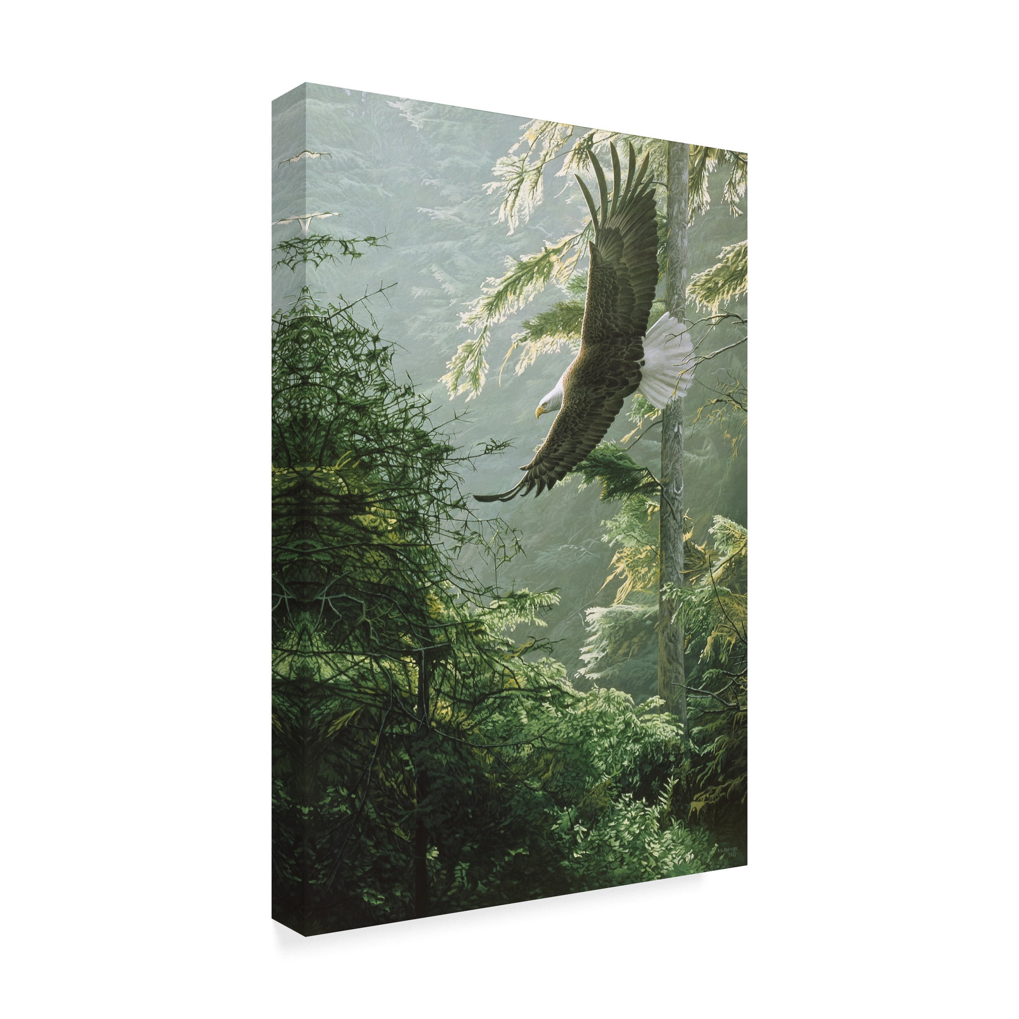Trademark Fine Art 'Morning Flight Eagle' Canvas Art by Ron Parker