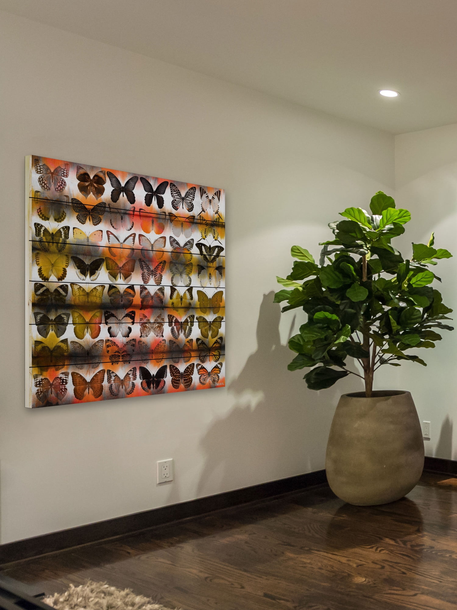 Parvez Taj Moths in Rows Art Print on White Pine Wood