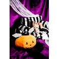 thumbnail image 5 of Glow Pups Chic Comfort Dog Bed, Black and White Striped, 5 of 14