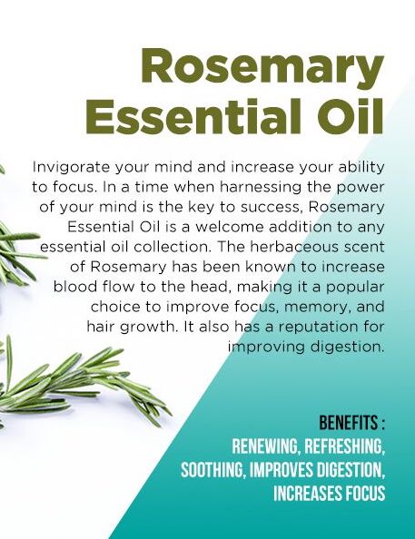 Guru Nanda Rosemary Essential Oil 100% Pure and Natural 0.5 fl. oz. - image 5 of 5