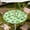 Clover Field, variant on Round Outdoor Tablecloth with Umbrella Hole, Zippered Fitted Waterproof Tablecover with Elastic Edge ,Sizes Available to Fit 36"-65" Diameter Round Tables for Picnic & Party