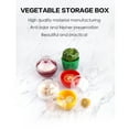 thumbnail image 3 of SDJMA Fruit and Vegetable Storage Containers for Fridge, Onion Holder Storage Avocado Green Pepper Tomato and Onion Keeper/Saver/Holder, Refrigerator Vegetable Crisper (1PCS), 3 of 9