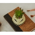thumbnail image 5 of Disney The Nightmare Before Christmas Oogie Boogie 5-Inch Ceramic Mini Planter, 5 of 7