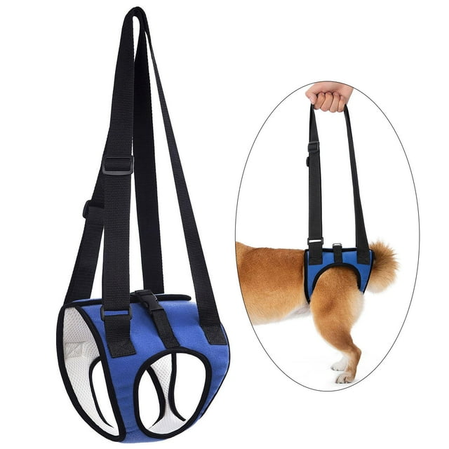 Arnés de elevación para perros Transportín para perros Diseño cómodo Elevador para perros mayores Cinturón auxiliar para caminar para perros grandes SG