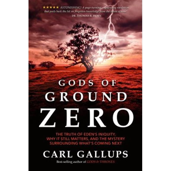 Pre-Owned Gods of Ground Zero (Paperback) 194801405X 9781948014052