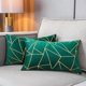 thumbnail image 1 of HAYAN Throw Pillow Covers Velvet Decorative 2 Packs Ultra-Soft Geometrical Golden Foil Rectangle Cushion Case for,Christmas,Sofa,Bedroom,Car Couch Chair (Alpine Green, 12“X20”), 1 of 1