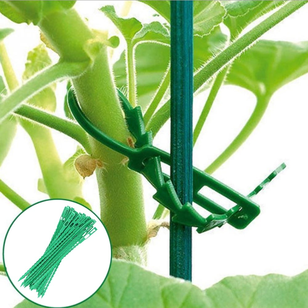 Details about   Reusable Gardens Plastic Plant Cable Ties Adjustable Trees Climbing Support.