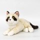 thumbnail image 2 of Juguetes de peluche de gato de imitación, animales calmantes para niños, muñecas de trapo, muñecas de gato, 2 of 4