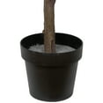 thumbnail image 5 of Northlight 6.5' Green and Red Potted Artificial Apple Tree with Two Tone Green Leaves, 5 of 5